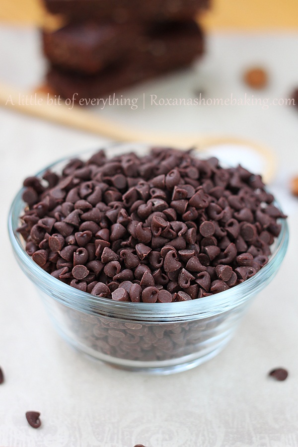 Chocolate Chip Brownie Bars | roxanashomebaking.com