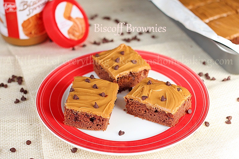 Chocolate Chip Biscoff Brownies with Biscoff Frosting  | roxanashomebaking.com/