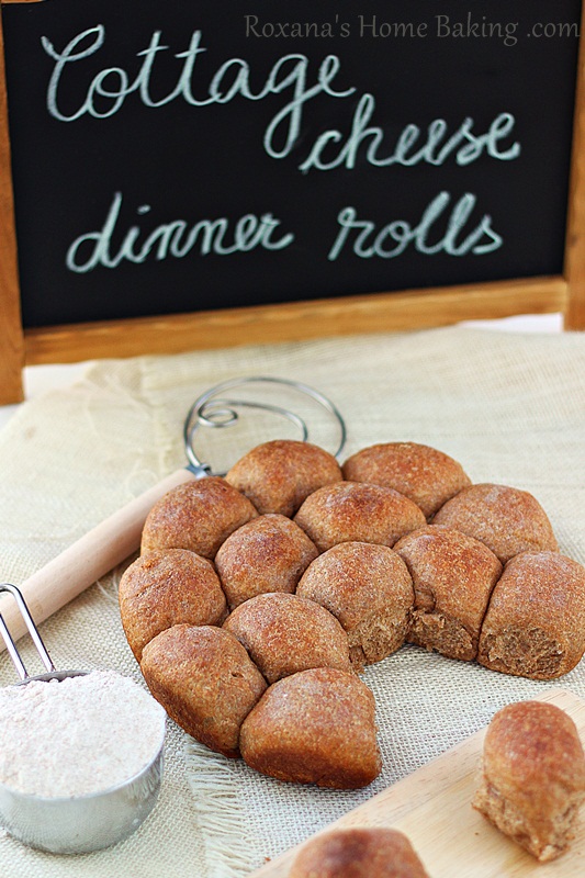 cottage cheese whole wheat dinner rolls | Roxanashomebaking.com