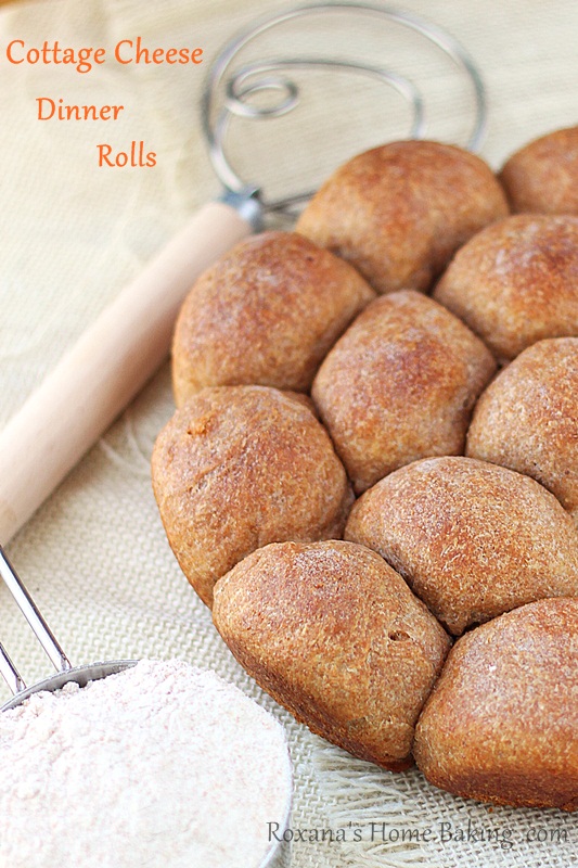 Cottage cheese whole wheat dinner rolls