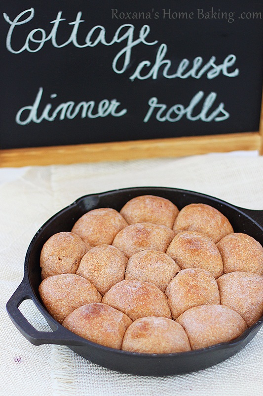 Cottage Cheese Whole Wheat Dinner Rolls A Treats Affair