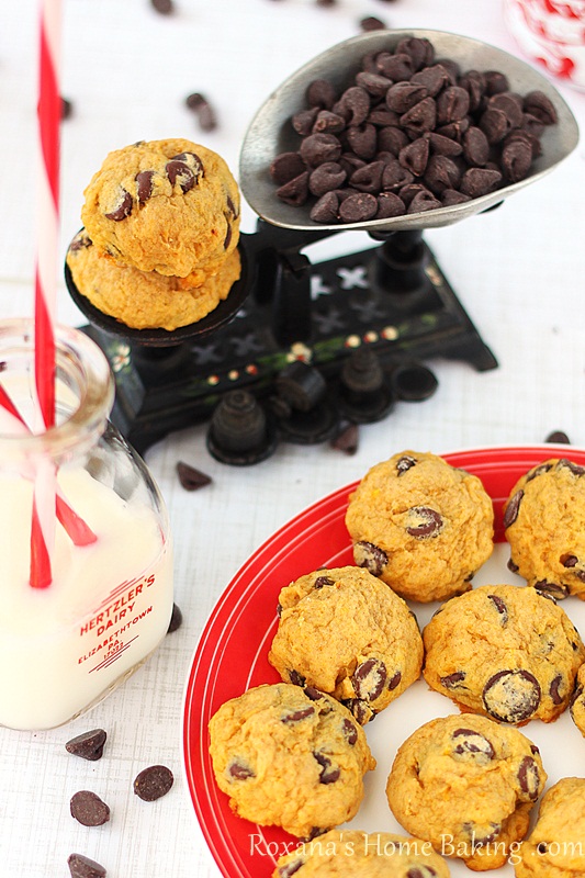 Chocolate-chip pumpkin muffin top cookies - moist, cake-like cookies, packed with pumpkin sweetness and full of chocolate-chips. Recipe from Roxanashomebaking.com