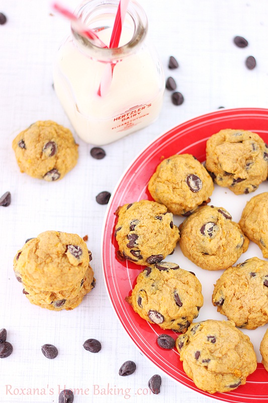 Chocolate-chip pumpkin muffin top cookies - moist, cake-like cookies, packed with pumpkin sweetness and full of chocolate-chips. Recipe from Roxanashomebaking.com