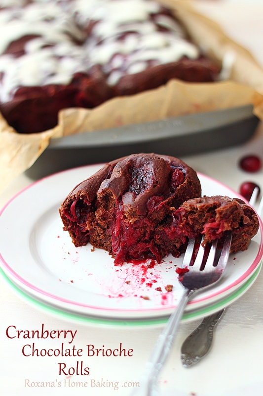 Cranberry Chocolate Brioche Rolls #recipe #chocolateparty Roxanashomebaking.com