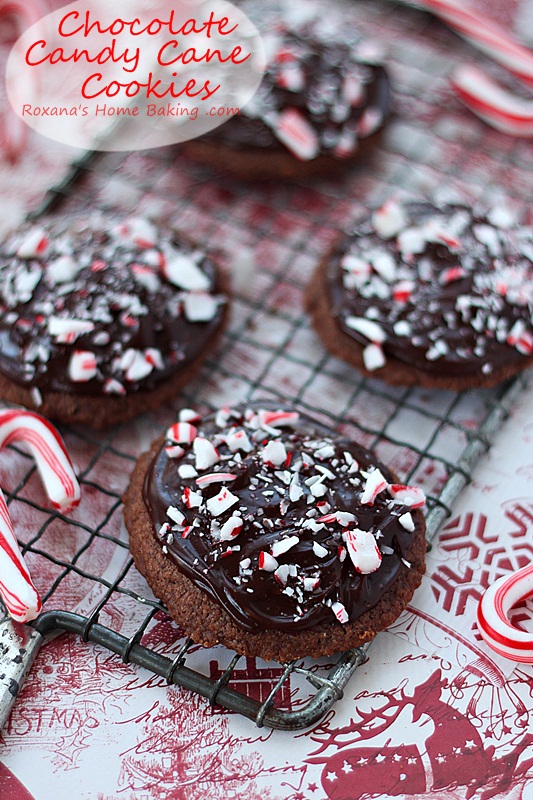 chocolate-candy-cane-cookies-recipe-roxanashomebaking-25recipestoXmas
