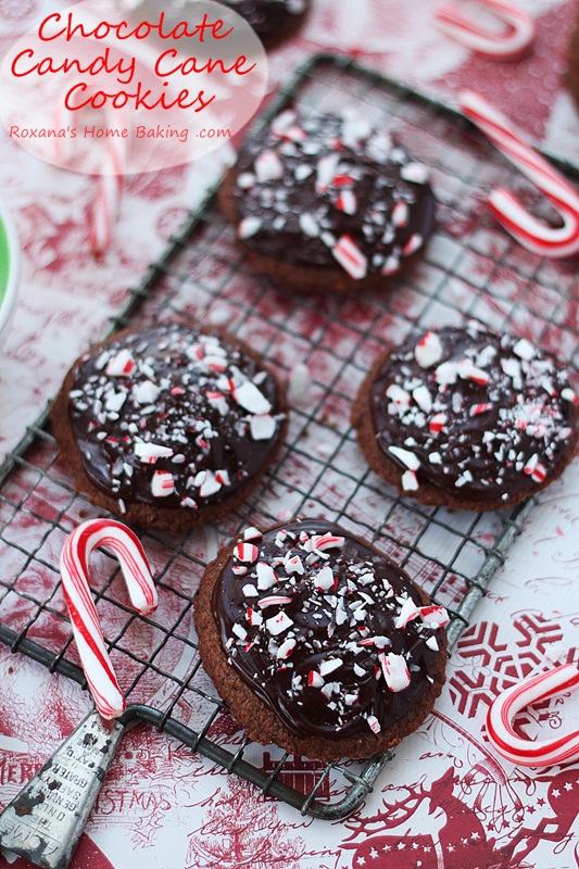 Chocolate Candy Cane Cookies