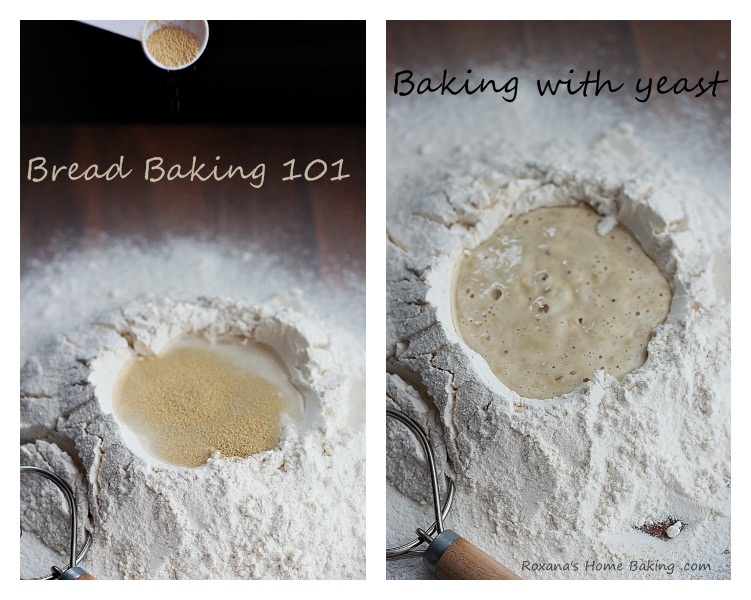 Bread Baking 101 - Baking with Yeast (types of yeast, proofing and a few tips) from Roxanashomebaking.com