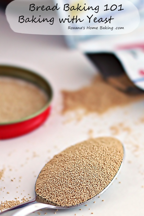 Yeast shop for bread