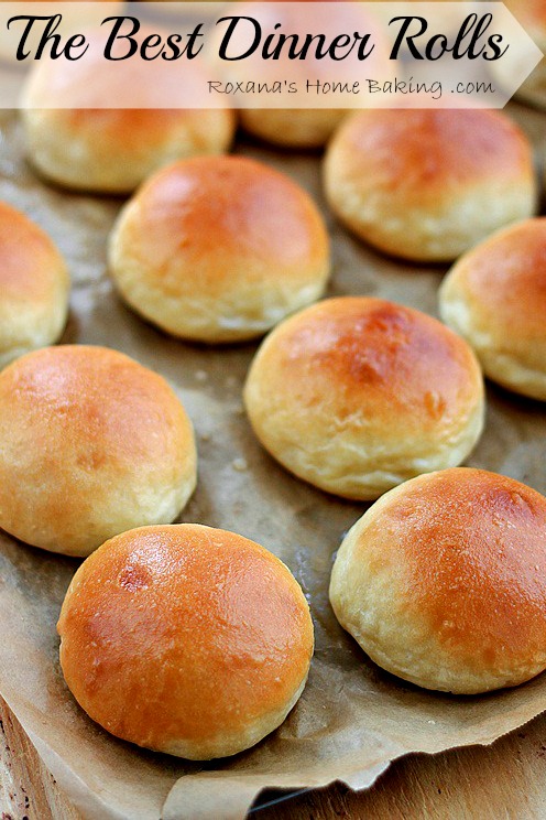 Soft, buttery, tender and warm, straight out of the oven - these are the best dinner rolls! Recipe from Roxanashomebaking.com