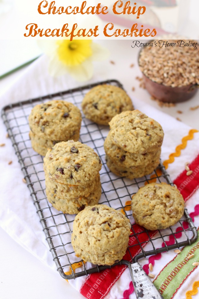 chocolate chip breakfast cookies recipe 1