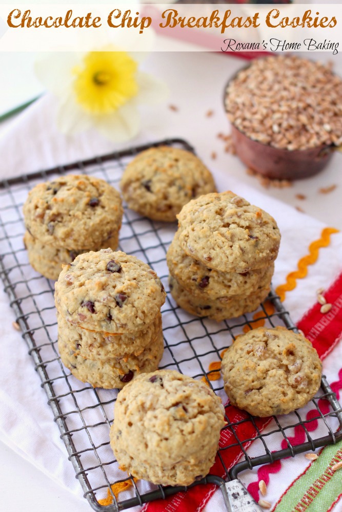 chocolate chip breakfast cookies recipe 2