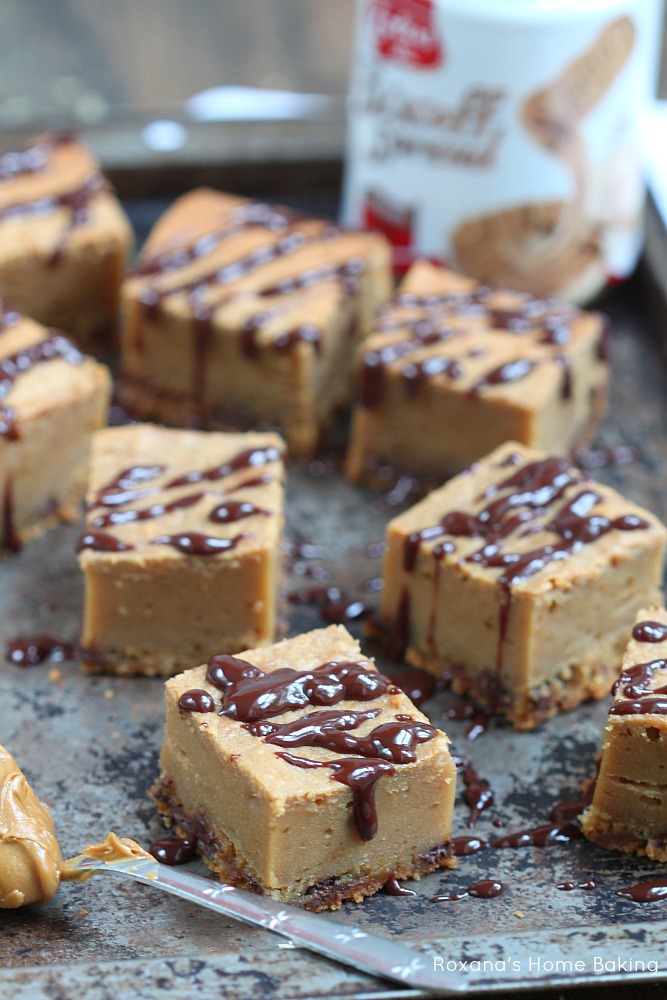 Buttery chocolate chip cookie topped with rich creamy biscoff cheesecake and chocolate ganache drizzle. An out of this world way to enjoy the creamy sweet Biscoff cookie spread 