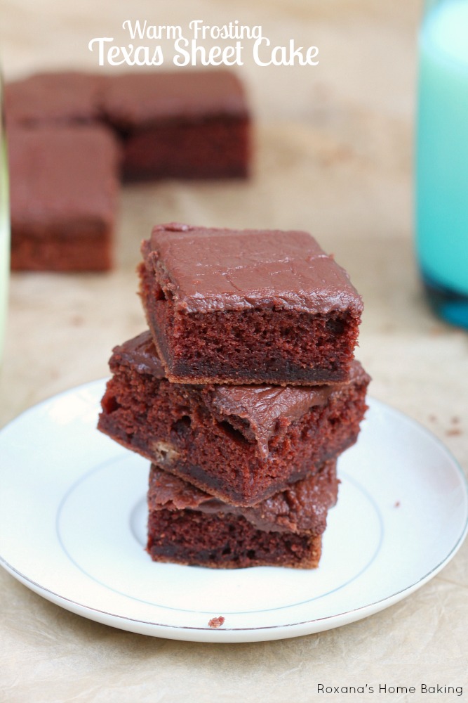 Easy to make Texas chocolate sheet cake kept moist from the addition of the buttermilk and topped with a delicious fudgy warm chocolate frosting.