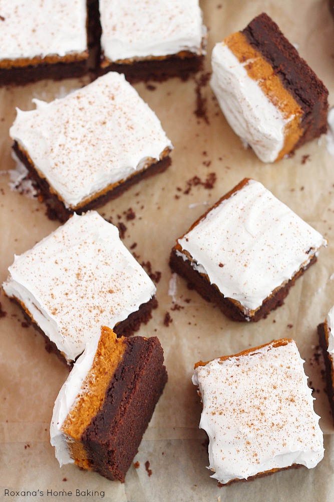 Chocolate pumpkin bars recipe 