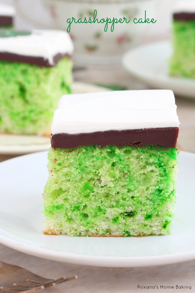 Pretty green and white swirled grasshopper cake topped with a rich chocolate ganache and airy whipped cream.