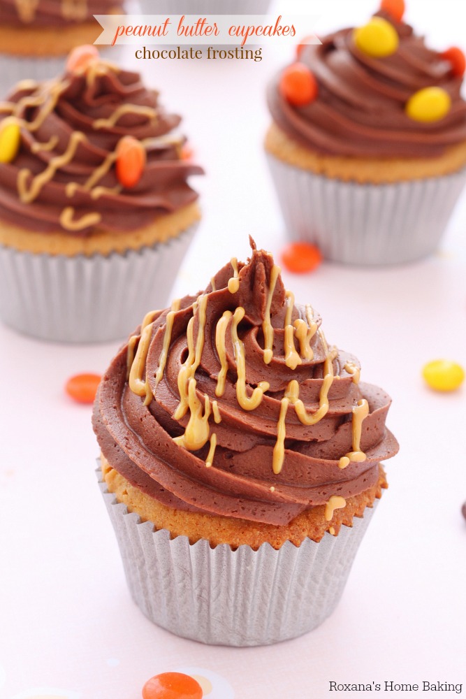 Soft and tender peanut butter chocolate cupcakes bursting with peanut butter flavor and topped with a velvety chocolate frosting and peanut butter icing