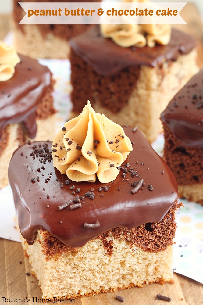 Peanut butter and chocolate cake squares