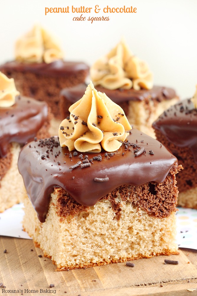 Peanut butter and chocolate cake squares recipe from Roxanashomebaking.com