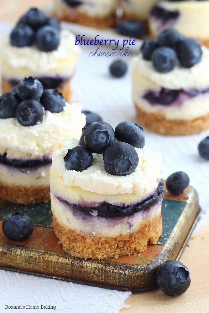 The ultimate blend of flavors and textures, these cheesecake bars combine smooth as silk cheesecake with blueberry pie filling. You won't be able to stop at just 1 bite!