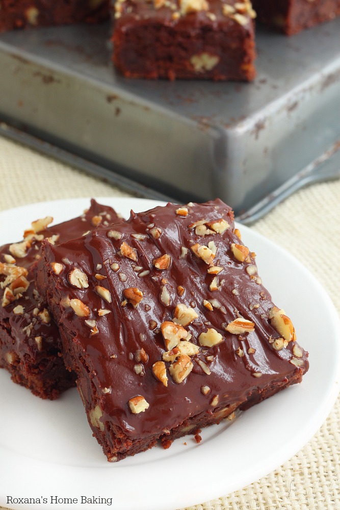Nutty chocolate chip brownies recipe from Roxanashomebaking,com