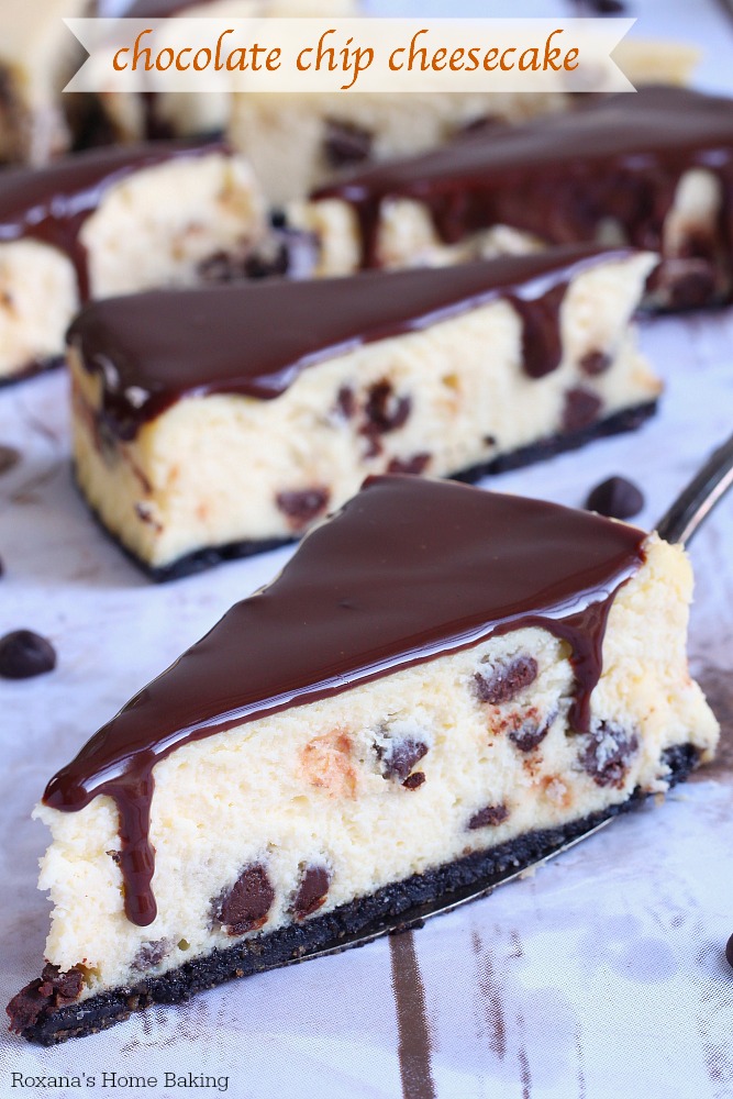 Indulge in a creamy cheesecake bursting with chocolate chips to satisfy your cravings! Featuring a chocolate crust, creamy cheesecake and silky ganache, this chocolate chip cheesecake is one of my favorites! 