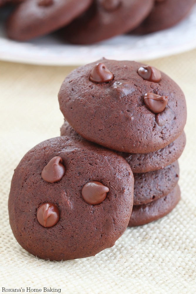 cashew milk chocolate chocolate chip cookies recipe 2