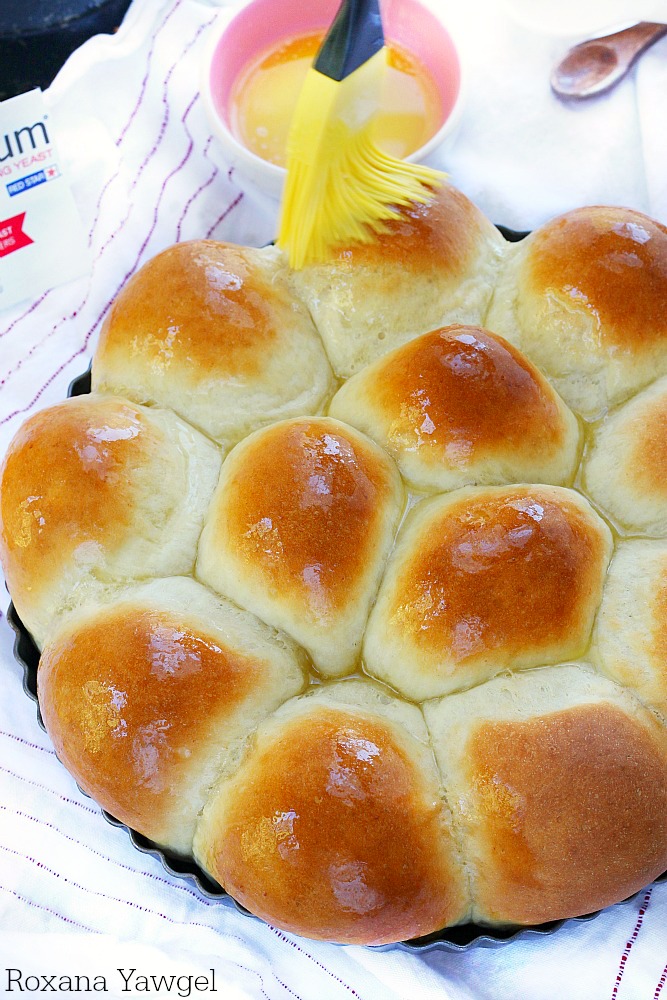 Flour, yeast, butter and milk is all you need to create these soft and fluffy dinner rolls in less than 30 minutes! These foolproof dinner rolls are so easy to make you'll never go store-bought again!
