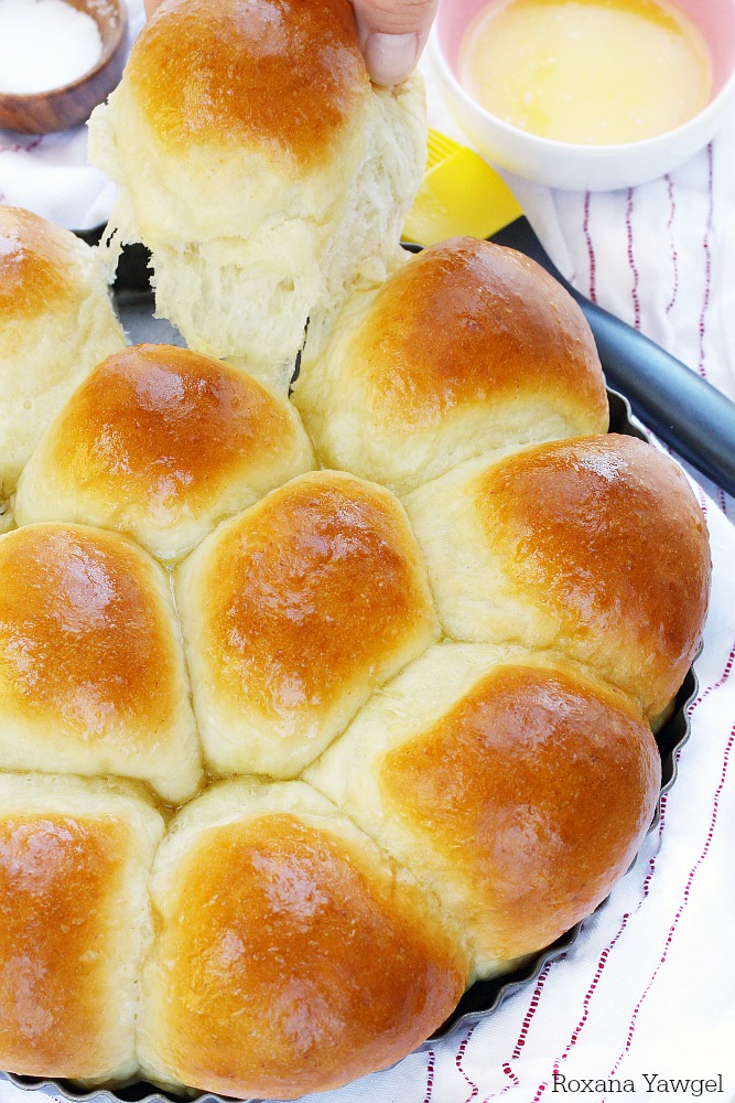 Flour, yeast, butter and milk is all you need to create these soft and fluffy dinner rolls in less than half an hour! These foolproof 30 minute dinner rolls are so easy to make you’ll never go store-bought again!