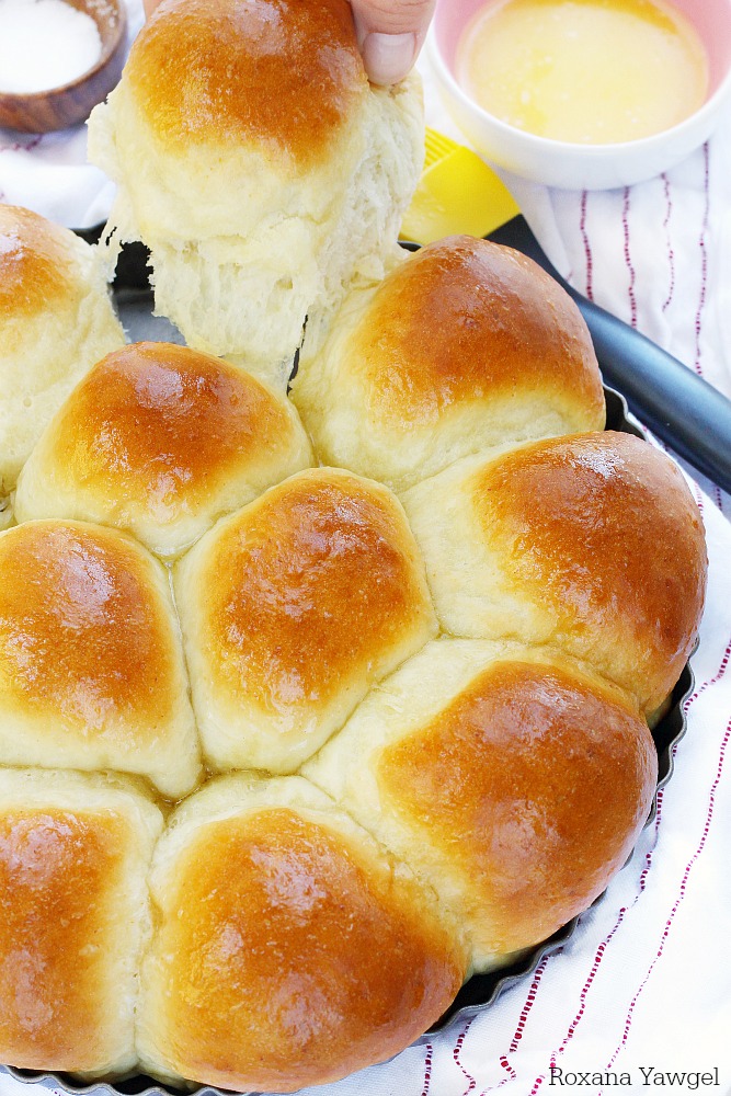 Flour, yeast, butter and milk is all you need to create these soft and fluffy dinner rolls in less than 30 minutes! These foolproof dinner rolls are so easy to make you'll never go store-bought again!