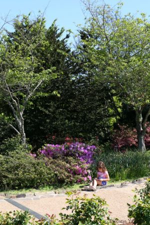 Spring at Lewis Ginter botanical garden