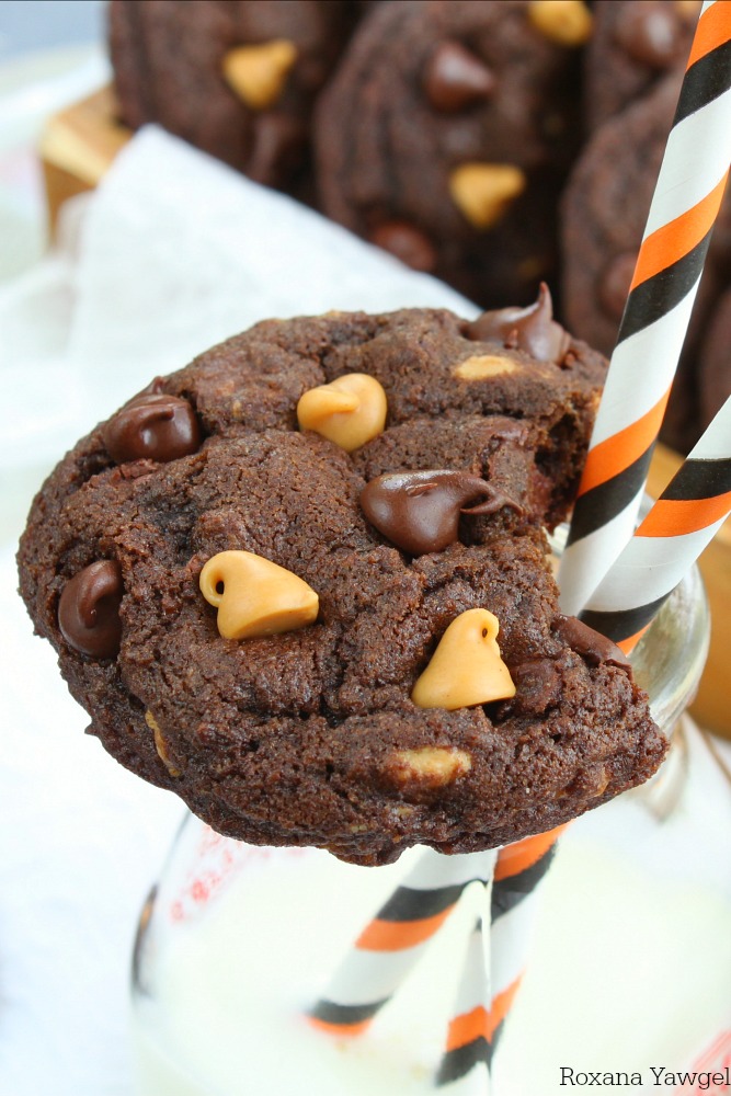 Craving chocolate and peanut butter? Try these soft and chewy chocolate peanut butter chip cookies! No chilling time required, come together in a jiffy and disappear just as quickly!