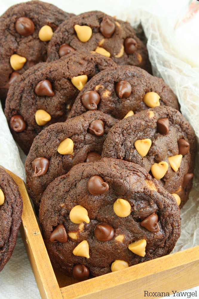 Craving chocolate and peanut butter? Try these soft and chewy chocolate peanut butter chip cookies! No chilling time required, come together in a jiffy and disappear just as quickly!