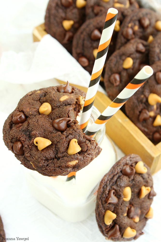 Soft & Chewy Peanut Butter Chocolate Chip Cookies