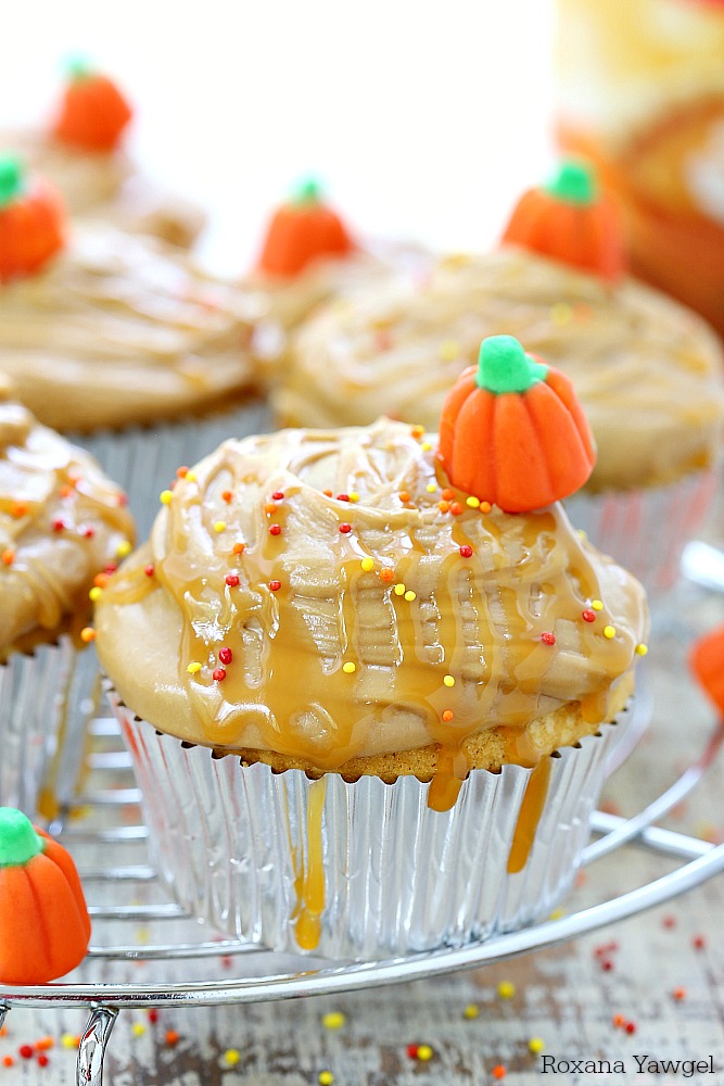 Perfect for all pumpkin lovers, these moist and sweet pumpkin cupcakes topped with an easy to make caramel frosting are a fall favorite dessert! 