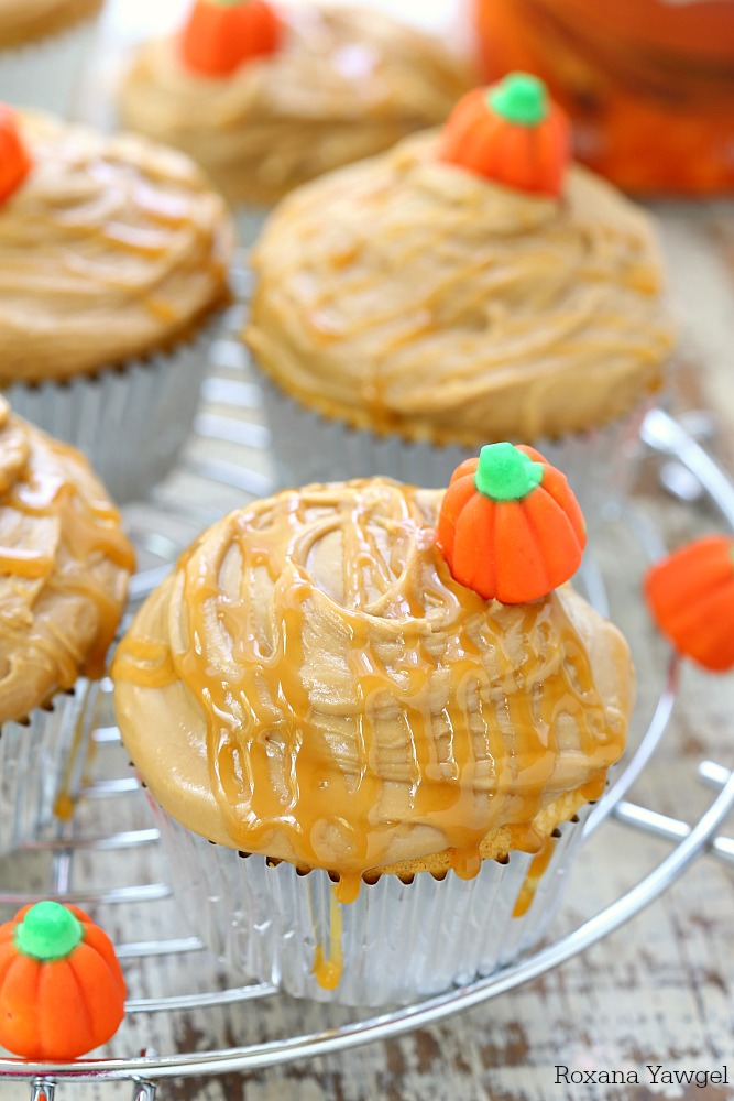 Perfect for all pumpkin lovers, these moist and sweet pumpkin cupcakes topped with an easy to make caramel frosting are a fall favorite dessert! 