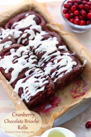 Cranberry Chocolate Brioche Rolls - a trEATs affair